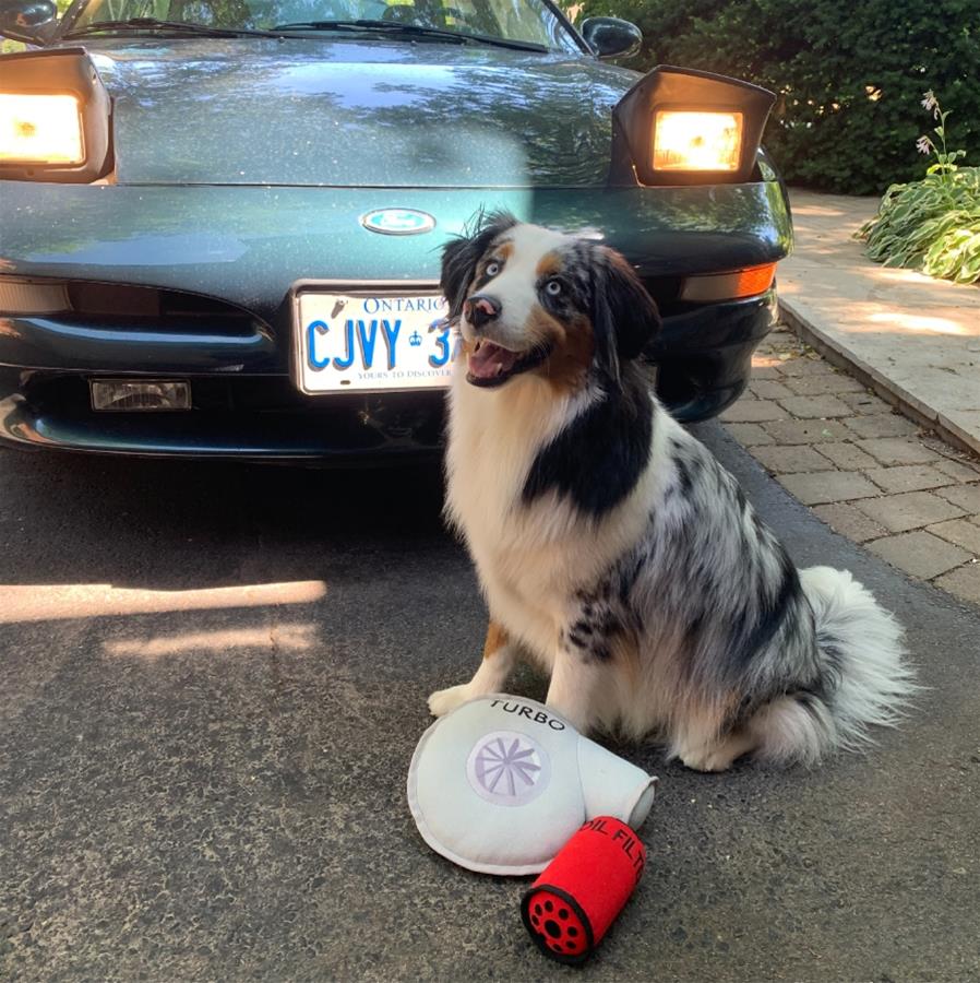 Street Iconz™ Turbocharger Dog Toy
