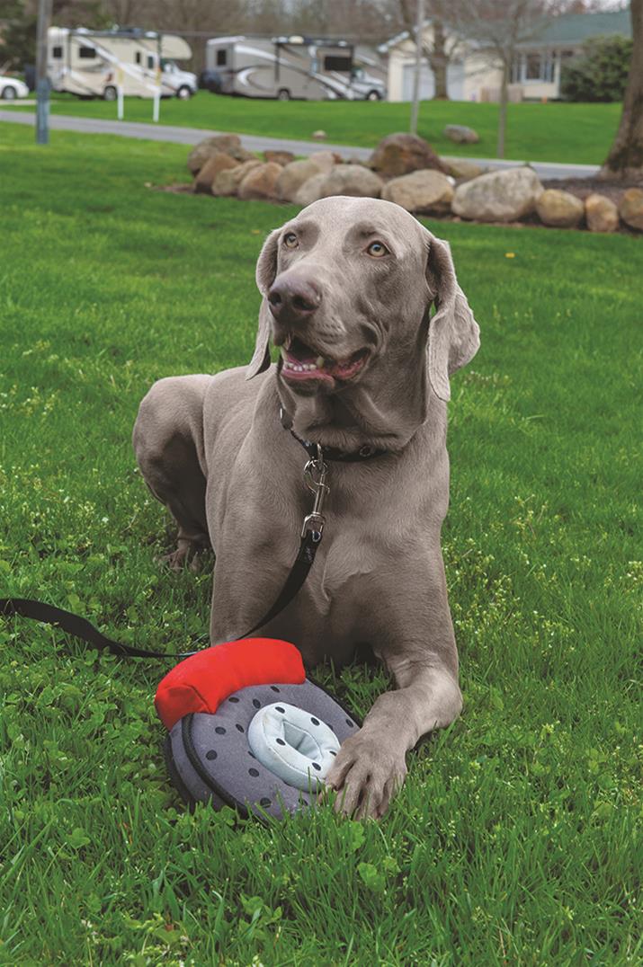 Street Iconz™ Brake Rotor and Caliper Dog Toy